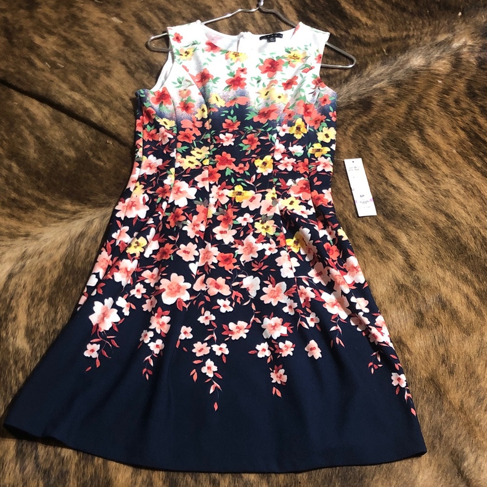 Tiana B floral dress in size 6P